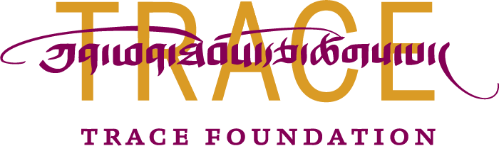 Trace Foundation