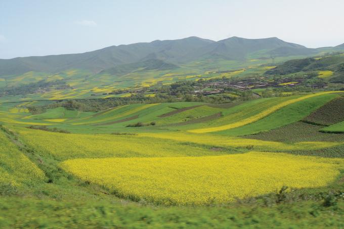 Kelsang Kyi was born to a family of farmers on the eastern edges of the Tibetan Plateau. Here, the rugged landscape gives way to rolling hills where farmers grow wheat, potatoes, and rapeseed.